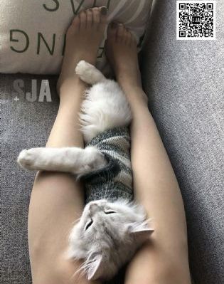 熟妇人妻无码xxx视频_720超清免费观看