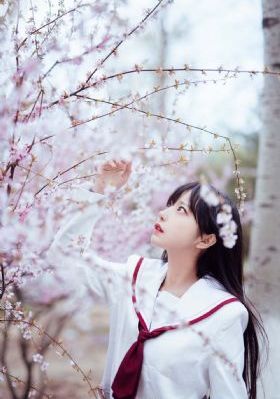 福利一区二区在线视频_蓝光在线观看高清